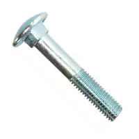 Stainless Steel Carriage Bolt