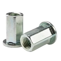 Hex Insert Nuts