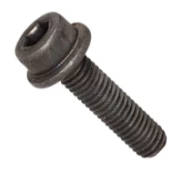 Flanged socket head cap screws