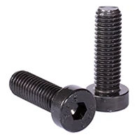 Low Head Socket Cap Screws